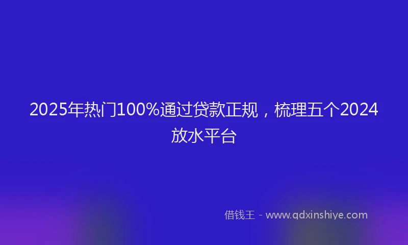 2025年热门100%通过贷款正规，梳理五个2024放水平台