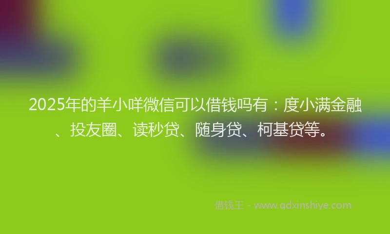 2025年的羊小咩微信可以借钱吗有：度小满金融、投友圈、读秒贷、随身贷、柯基贷等。