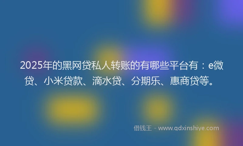 2025年的黑网贷私人转账的有哪些平台有：e微贷、小米贷款、滴水贷、分期乐、惠商贷等。
