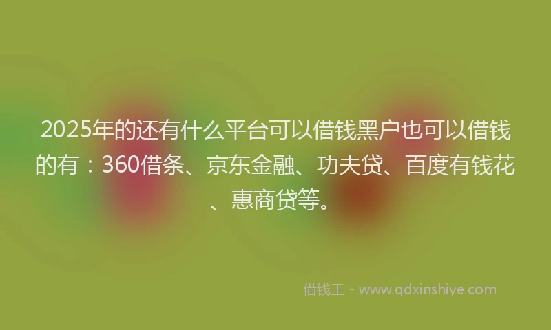 2025年的还有什么平台可以借钱黑户也可以借钱的有：360借条、京东金融、功夫贷、百度有钱花、惠商贷等。