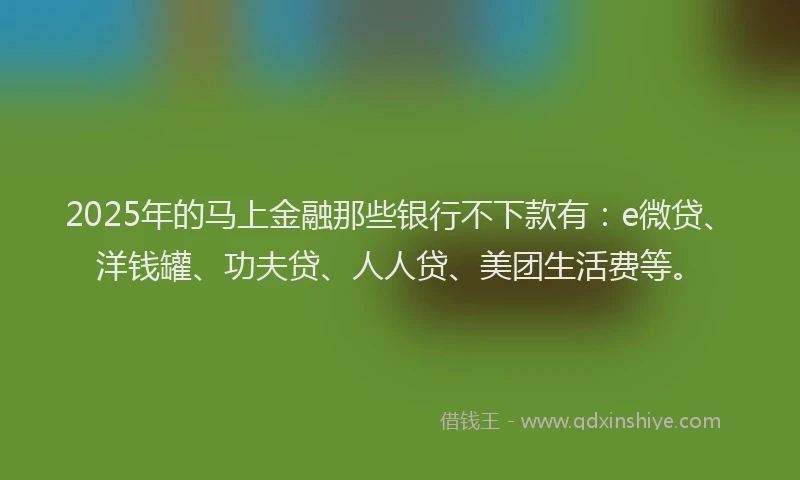 2025年的马上金融那些银行不下款有：e微贷、洋钱罐、功夫贷、人人贷、美团生活费等。