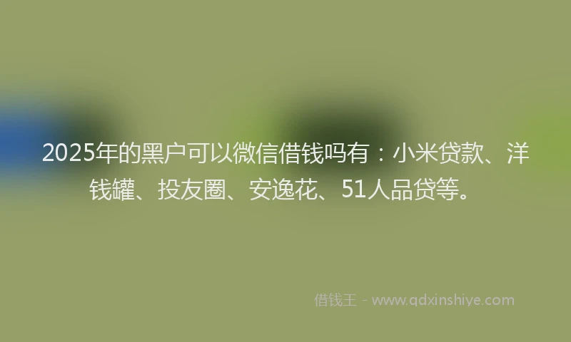 2025年的黑户可以微信借钱吗有：小米贷款、洋钱罐、投友圈、安逸花、51人品贷等。