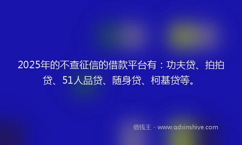 2025年的不查征信的借款平台有：功夫贷、拍拍贷、51人品贷、随身贷、柯基贷等。