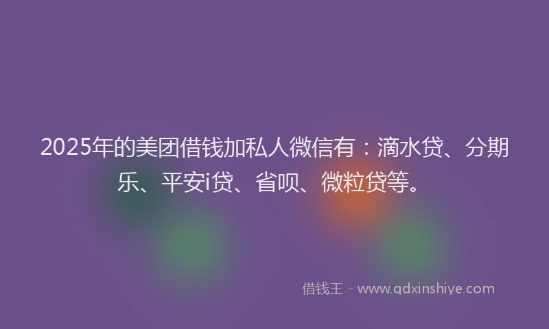2025年的美团借钱加私人微信有：滴水贷、分期乐、平安i贷、省呗、微粒贷等。