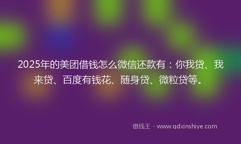 2025年的美团借钱怎么微信还款有：你我贷、我来贷、百度有钱花、随身贷、微粒贷等。