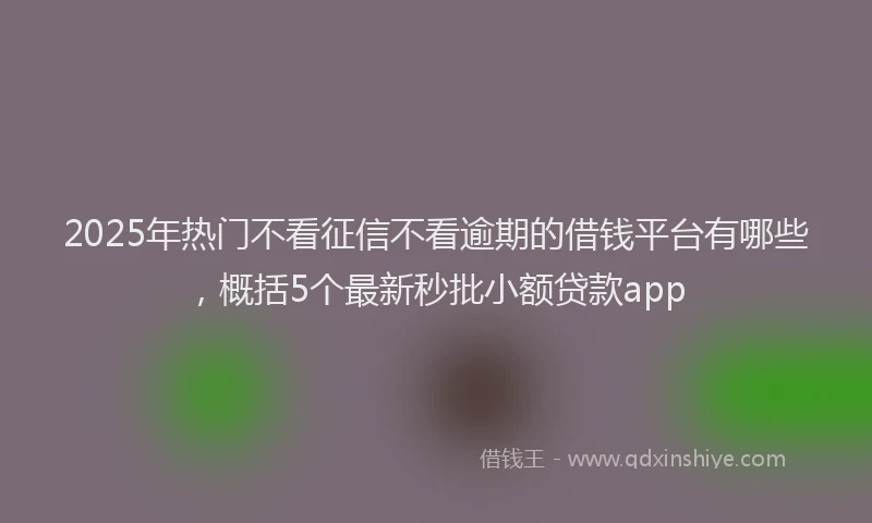 2025年热门不看征信不看逾期的借钱平台有哪些，概括5个最新秒批小额贷款app
