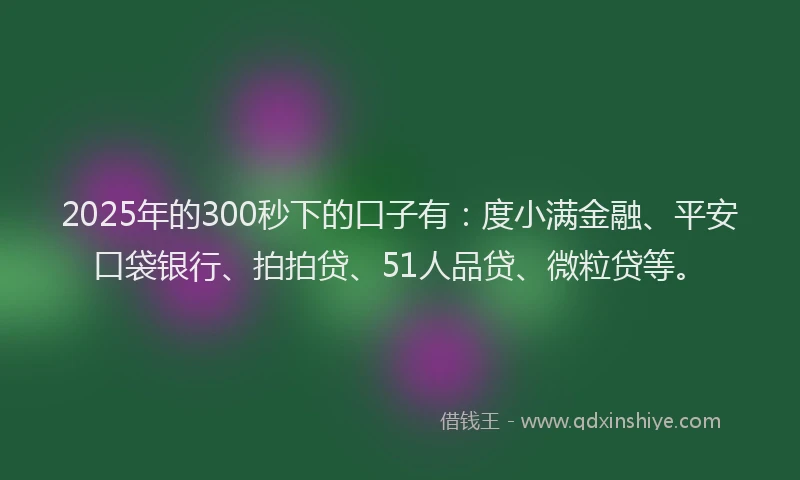 2025年的300秒下的口子有：度小满金融、平安口袋银行、拍拍贷、51人品贷、微粒贷等。