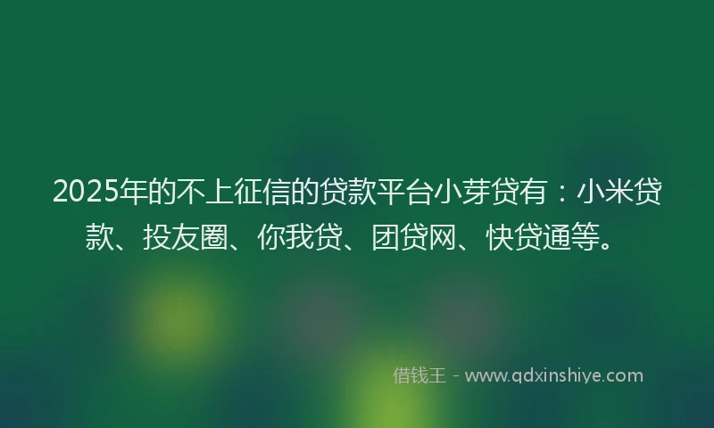 2025年的不上征信的贷款平台小芽贷有：小米贷款、投友圈、你我贷、团贷网、快贷通等。