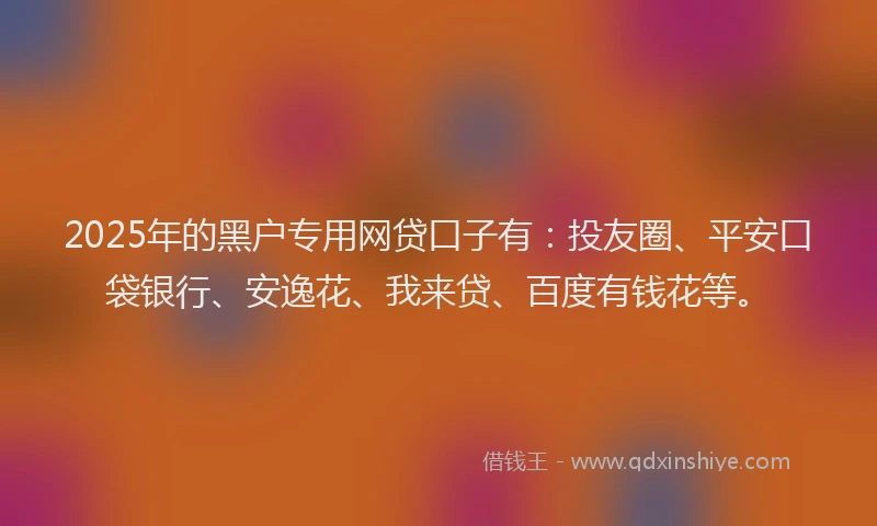 2025年的黑户专用网贷口子有：投友圈、平安口袋银行、安逸花、我来贷、百度有钱花等。