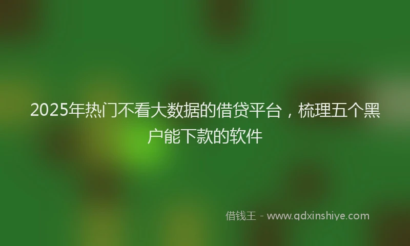 2025年热门不看大数据的借贷平台，梳理五个黑户能下款的软件