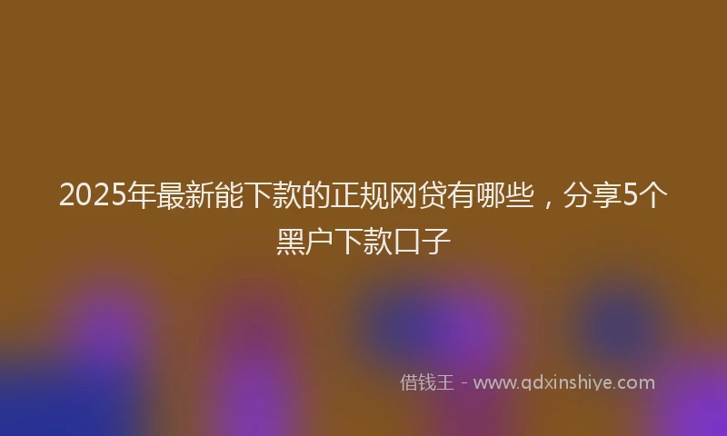 2025年最新能下款的正规网贷有哪些，分享5个黑户下款口子