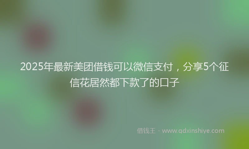 2025年最新美团借钱可以微信支付，分享5个征信花居然都下款了的口子