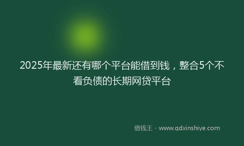 2025年最新还有哪个平台能借到钱，整合5个不看负债的长期网贷平台