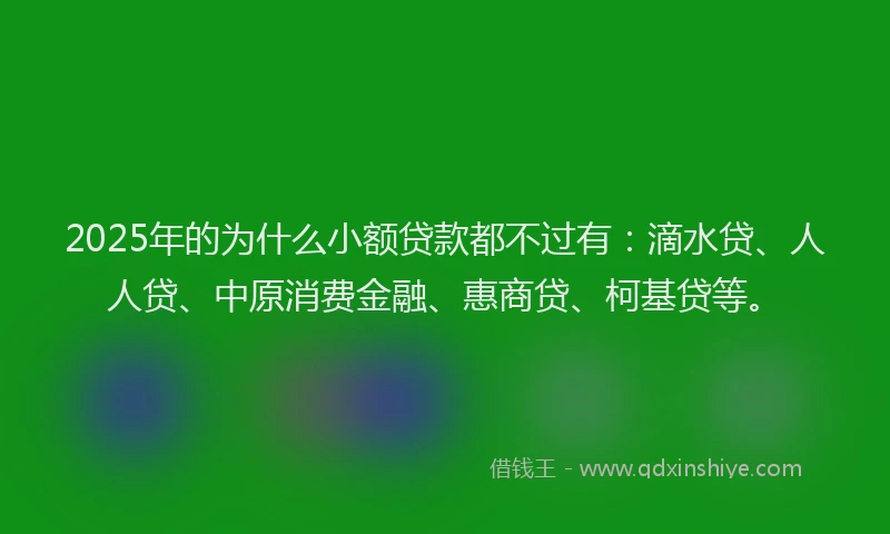 2025年的为什么小额贷款都不过有：滴水贷、人人贷、中原消费金融、惠商贷、柯基贷等。