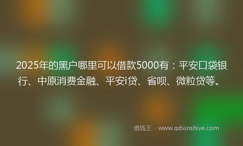 2025年的黑户哪里可以借款5000有：平安口袋银行、中原消费金融、平安i贷、省呗、微粒贷等。