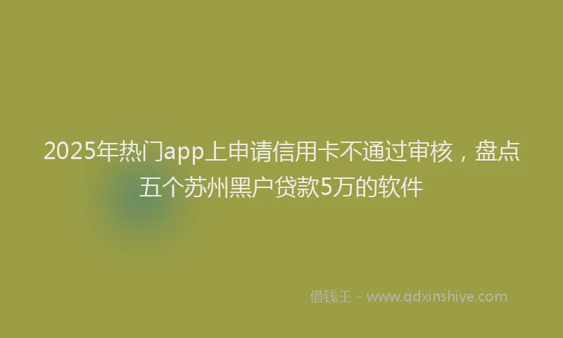 2025年热门app上申请信用卡不通过审核，盘点五个苏州黑户贷款5万的软件