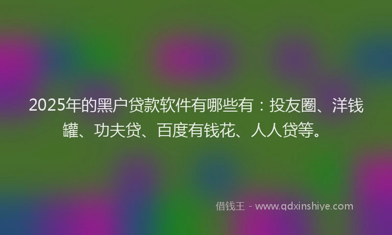 2025年的黑户贷款软件有哪些有：投友圈、洋钱罐、功夫贷、百度有钱花、人人贷等。