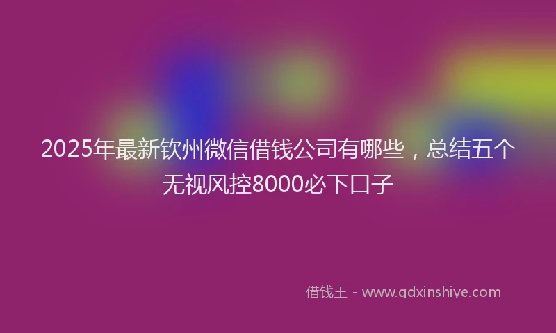 2025年最新钦州微信借钱公司有哪些，总结五个无视风控8000必下口子