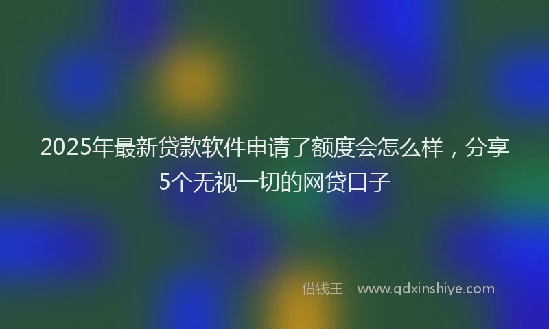 2025年最新贷款软件申请了额度会怎么样，分享5个无视一切的网贷口子