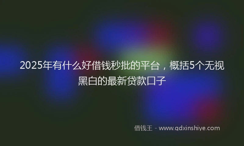 2025年有什么好借钱秒批的平台，概括5个无视黑白的最新贷款口子