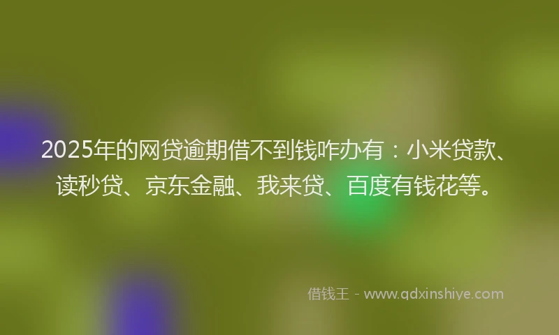2025年的网贷逾期借不到钱咋办有：小米贷款、读秒贷、京东金融、我来贷、百度有钱花等。