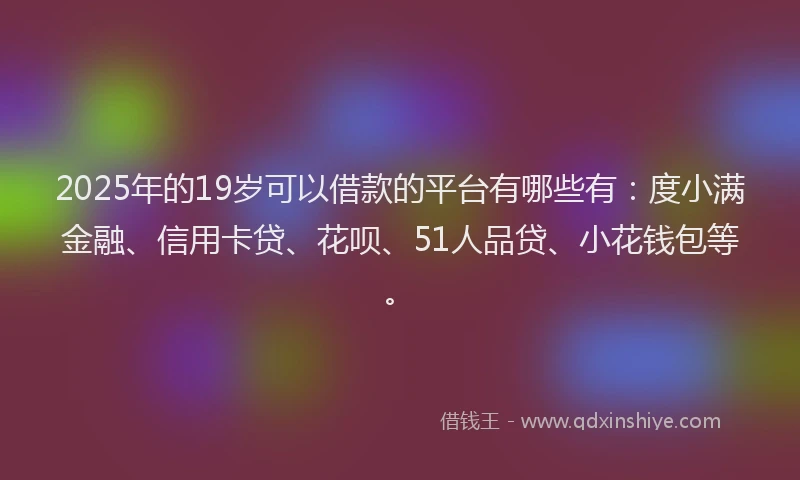 2025年的19岁可以借款的平台有哪些有：度小满金融、信用卡贷、花呗、51人品贷、小花钱包等。
