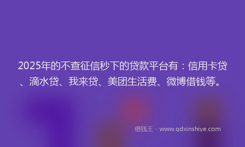 2025年的不查征信秒下的贷款平台有：信用卡贷、滴水贷、我来贷、美团生活费、微博借钱等。