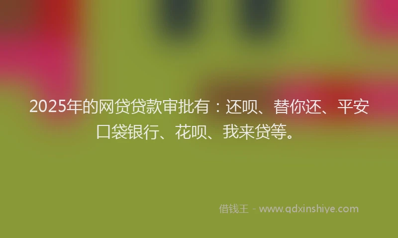 2025年的网贷贷款审批有：还呗、替你还、平安口袋银行、花呗、我来贷等。