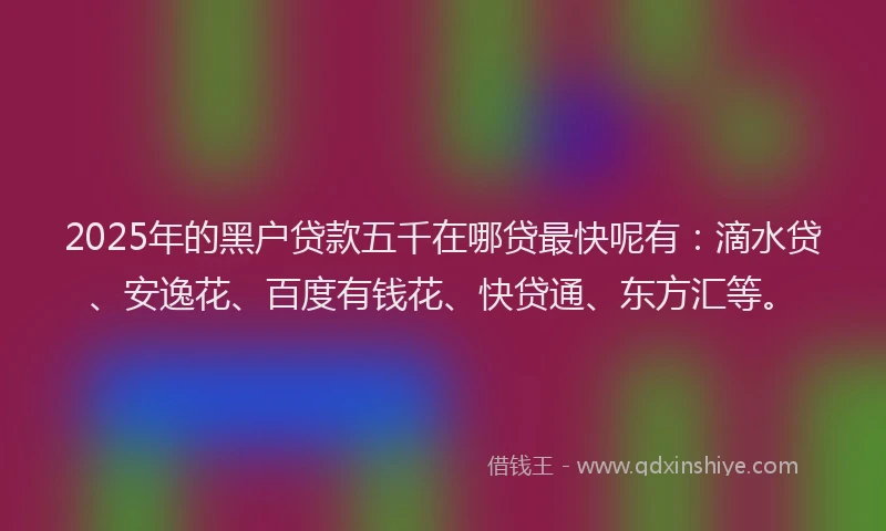 2025年的黑户贷款五千在哪贷最快呢有：滴水贷、安逸花、百度有钱花、快贷通、东方汇等。
