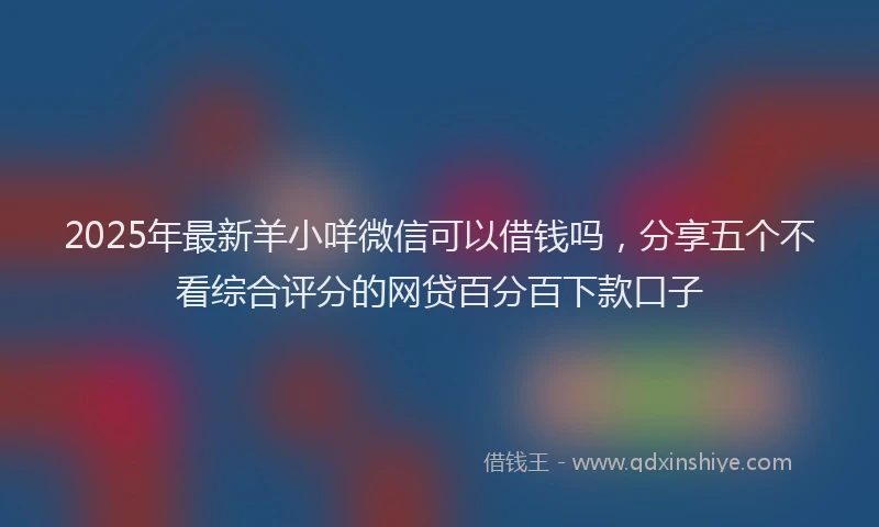 2025年最新羊小咩微信可以借钱吗，分享五个不看综合评分的网贷百分百下款口子
