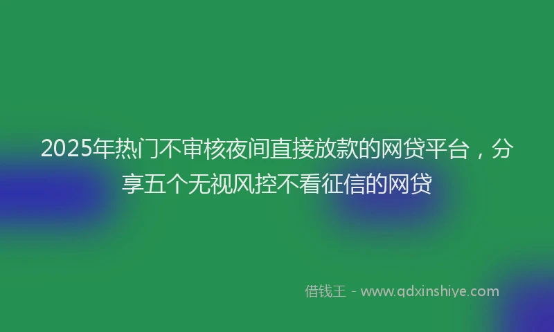 2025年热门不审核夜间直接放款的网贷平台，分享五个无视风控不看征信的网贷