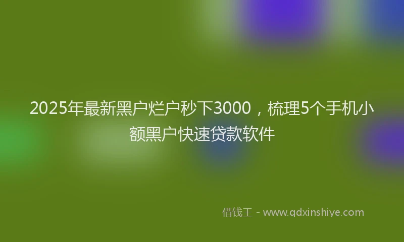 2025年最新黑户烂户秒下3000，梳理5个手机小额黑户快速贷款软件