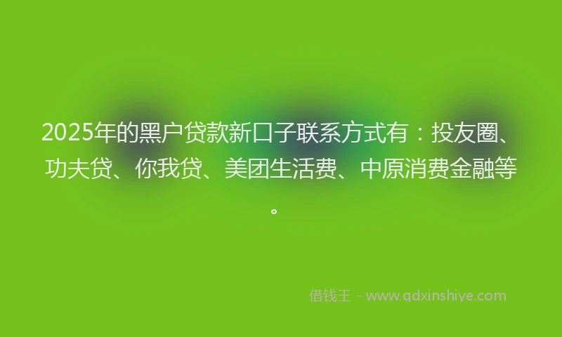2025年的黑户贷款新口子联系方式有：投友圈、功夫贷、你我贷、美团生活费、中原消费金融等。