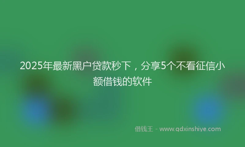 2025年最新黑户贷款秒下，分享5个不看征信小额借钱的软件