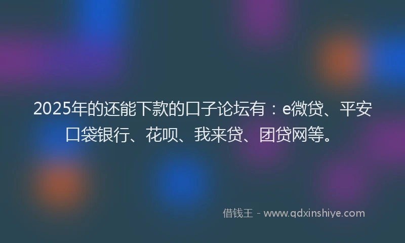 2025年的还能下款的口子论坛有：e微贷、平安口袋银行、花呗、我来贷、团贷网等。