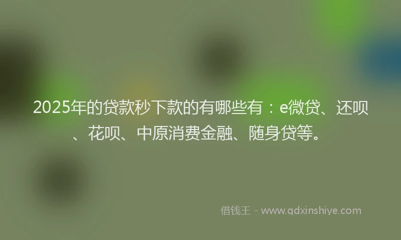 2025年的贷款秒下款的有哪些有：e微贷、还呗、花呗、中原消费金融、随身贷等。