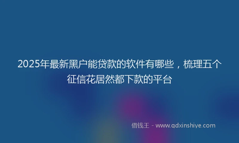 2025年最新黑户能贷款的软件有哪些，梳理五个征信花居然都下款的平台