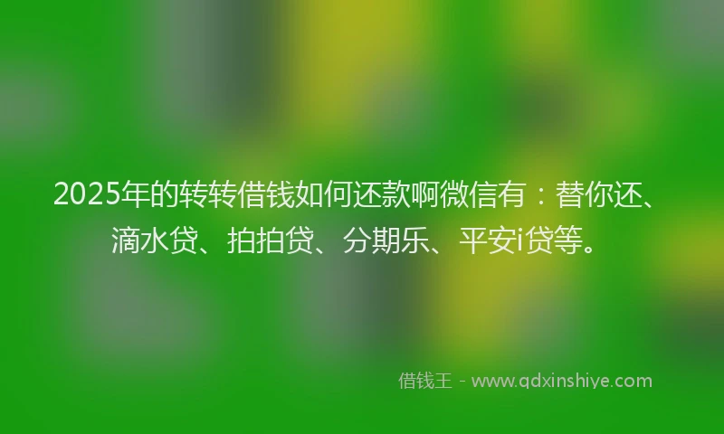 2025年的转转借钱如何还款啊微信有：替你还、滴水贷、拍拍贷、分期乐、平安i贷等。