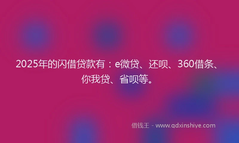 2025年的闪借贷款有：e微贷、还呗、360借条、你我贷、省呗等。