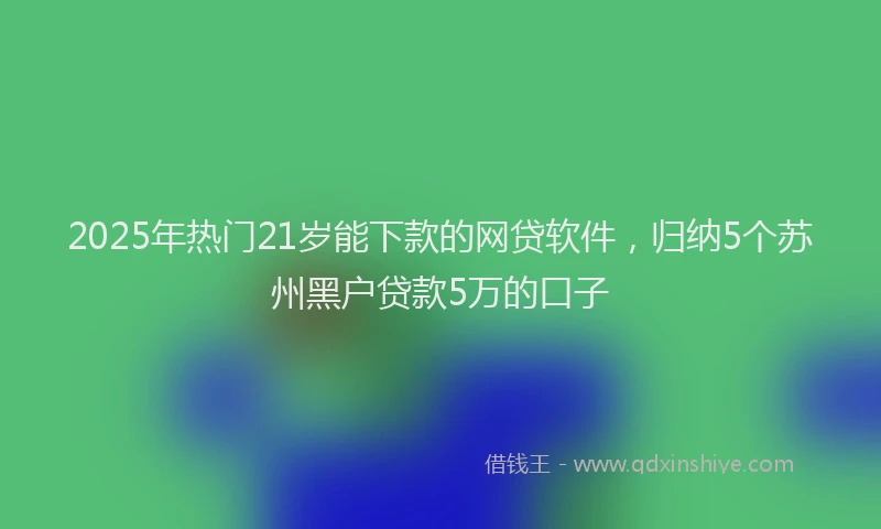 2025年热门21岁能下款的网贷软件，归纳5个苏州黑户贷款5万的口子