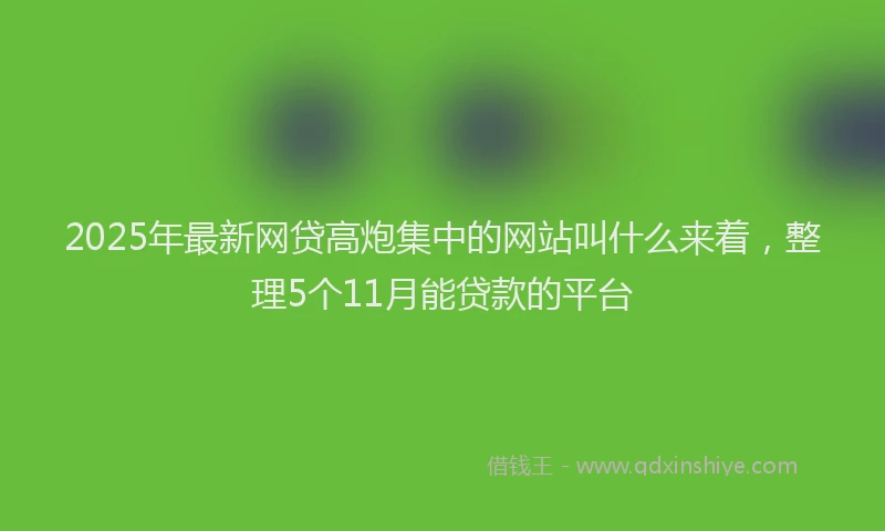 2025年最新网贷高炮集中的网站叫什么来着，整理5个11月能贷款的平台