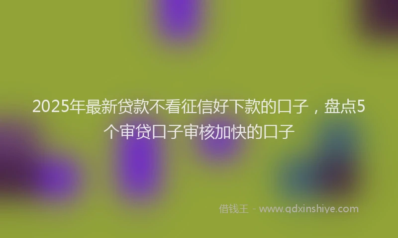 2025年最新贷款不看征信好下款的口子，盘点5个审贷口子审核加快的口子