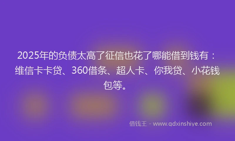 2025年的负债太高了征信也花了哪能借到钱有：维信卡卡贷、360借条、超人卡、你我贷、小花钱包等。