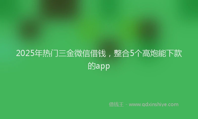 2025年热门三金微信借钱，整合5个高炮能下款的app