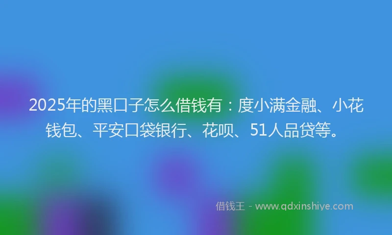 2025年的黑口子怎么借钱有：度小满金融、小花钱包、平安口袋银行、花呗、51人品贷等。