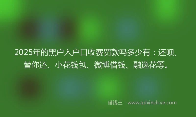 2025年的黑户入户口收费罚款吗多少有：还呗、替你还、小花钱包、微博借钱、融逸花等。