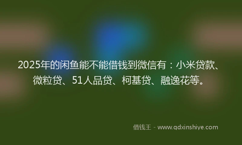 2025年的闲鱼能不能借钱到微信有：小米贷款、微粒贷、51人品贷、柯基贷、融逸花等。