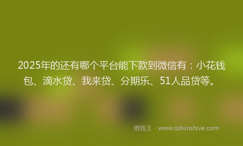 2025年的还有哪个平台能下款到微信有：小花钱包、滴水贷、我来贷、分期乐、51人品贷等。