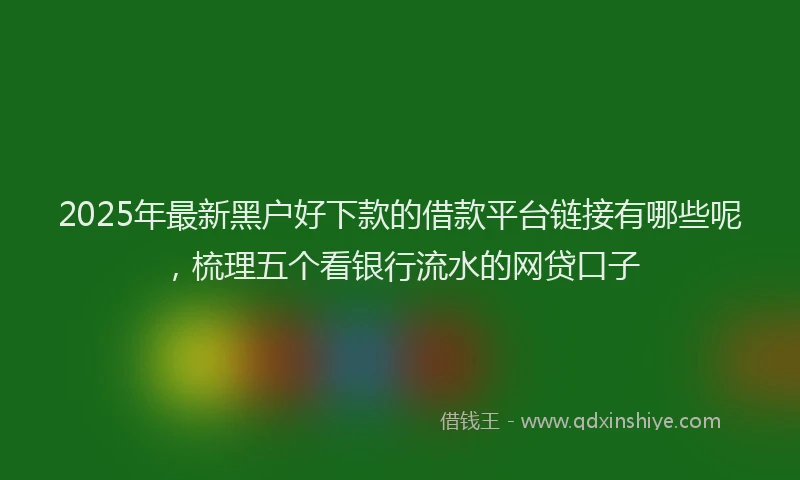 2025年最新黑户好下款的借款平台链接有哪些呢，梳理五个看银行流水的网贷口子