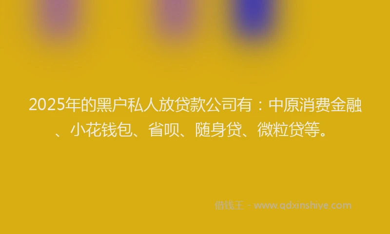 2025年的黑户私人放贷款公司有：中原消费金融、小花钱包、省呗、随身贷、微粒贷等。